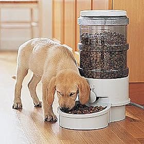 Automatic Pet Feeder - LARGE (Dogs and Pigs over 40 lbs.)
