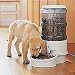 Electronic Petfeeder, Small, SMALL
