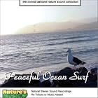 PEACEFUL OCEAN SURF by Nature's Music
