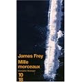 Mille morceaux