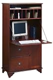 Review Home Decorators Collection  / Burnham Tall Secretary Desk 60