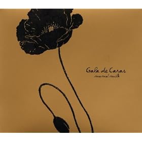 Gala de Caras
