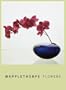 Mapplethorpe Flowers: Notecard Boxes