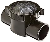 Waterway Plastics 600-7010 TruSeal Serviceable Swing Check Valve