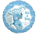 Baby Boy Elephant