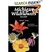 Michigan Wildflowers in Color, Revised Edition with Wildflower Walks (Wildflowers)