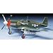 1/48 P-51B�}�X�^���O