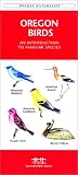 Oregon Birds