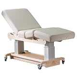 31 Celesta Performa Lift Treatment Table Color: Ocean