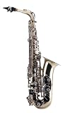 Maxam Alto Sax.