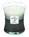 Woodwick Candle Warm Woods Trilogy Medium Jar