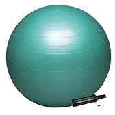 HATAS(ハタス) バランスボール セーフティ 65cm ポンプ付 DB65P