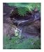 The Flow (borderless) Motivational Photographic Poster Print by Ulla, 20x24