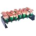 Black Gold� Jalapeno Pepper Cooker