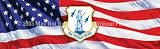 Window Graphic - 16x54 Air National Guard