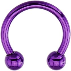 14 Gauge Purple Electro Titanium Horseshoe -7/16"