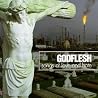 Image of album by Godflesh