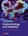 Essential Endocrinology and Diabetes (Essentials)