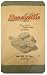 Bleached Swiss Pastry Flour - Bulk 50 Pound Bag Image