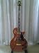Jay Turser 200 Series Jt-220-serpent-te Electric Guitar, Tiger Eye