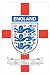 Pyramid International England, The Three Lions Maxi Poster