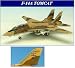 F-14A イラン空軍 アリ・キャット #3-6079 80年代初期カムフラージュ (1/200 6627)