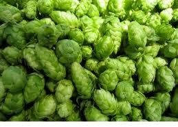Chinook Leaf Hop 3oz