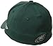 NFL Philadelphia Eagles Curve Classic 39Thirty Flex Fit