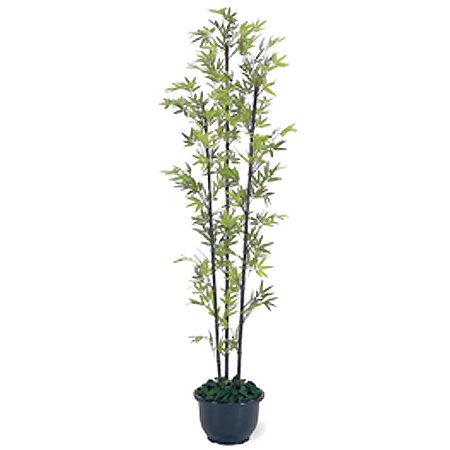 【人工植物】黒竹3本立　鉢付　1.8m