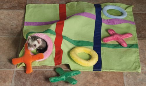 Marshall Ferret Fun-N-Games Blanket