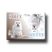 maltese4 - Maltese Dishwasher Magnet