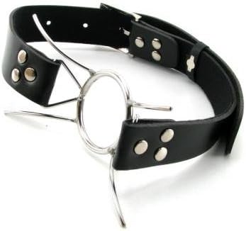 Sexy Steel Gag with Leather Strap