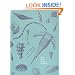 An Introduction to Invertebrate Fossils of New York