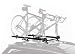 Thule 515 Prologue Fork Mount Rooftop Bike Carrier (2-Pack)
