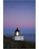 10x8 Photograph (25x20cm) Scotland, Scottish Borders, St Abbs Nature Reserve. by Jason Friend