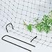 Tools & Hardware : Bird Control - Park's Anti-Bird Net