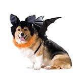 Pet Bat Costume