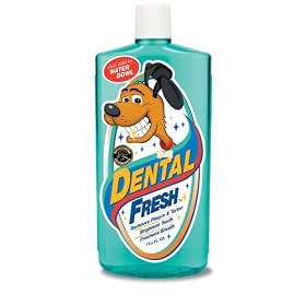 Synergy Dental Fresh Dog, 17.3 Ounce