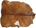 Replacement Goat Skin Drum Head for Djembe Drum