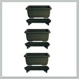 6 Inch Bonsai Pots with Trays | 3 Pack Joebonsai