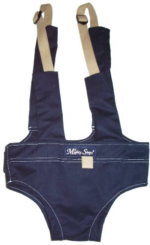Picture of Mighty Steps Indoor/Outdoor Mode Baby Walker -navy IO102 (Baby Walkers)