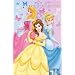 Disney Princesses Butterfly Cinderella New Cute Art Poster Print - 24" X 36"