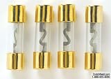 StreetWires AGU Type Glass Fuses 4-pack 10 Amp