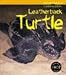 Book Leatherback Turtle (Animals in Danger)