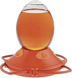 Perky Pet 449-2 Oriole Feeder