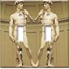 Michelangelo's David Switch Plate - Double Toggle