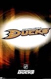 Professionally Framed Anaheim Ducks Logo 2010 Sports Poster Print - 22x34 with RichAndFramous Black Wood Frame