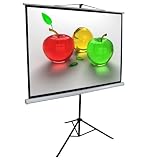 100 tripod projection projector screen 4:3 Glass Bead