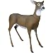 Flambeau Masters Doe Deer Decoy