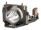 Electronics : Infocus Replacement Lamp For Lp530
